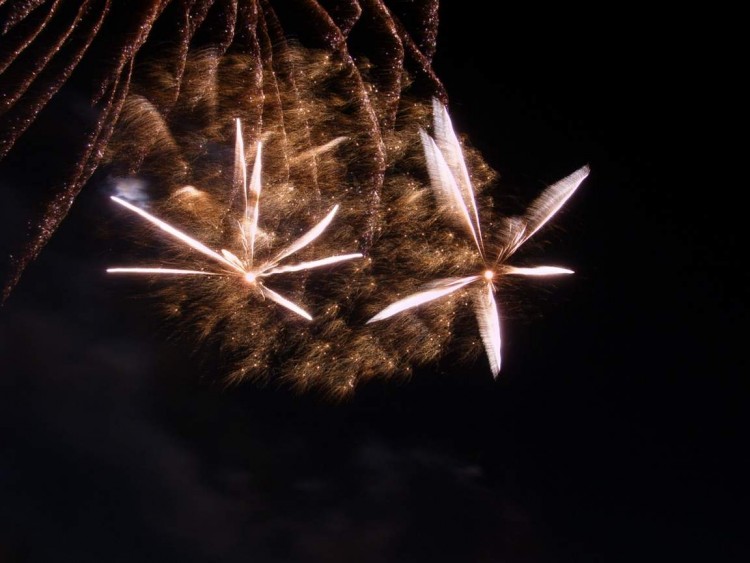 Fonds d'cran Hommes - Evnements Feux d'Artifice 14 juillet 2006  Lille