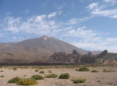 Fonds d'cran Voyages : Europe Tenerife et le Teide