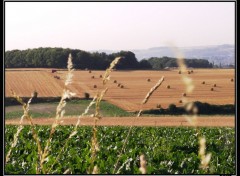 Fonds d'cran Nature champ dans la somme