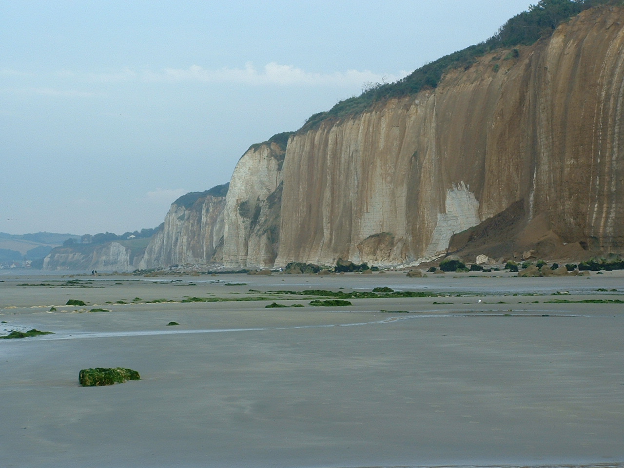 Wallpapers Nature Seas - Oceans - Beaches La falaise de craie de Varengeville