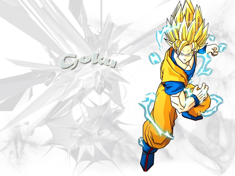 Fonds d'cran Manga Dragon Ball Z Wallpaper N146146