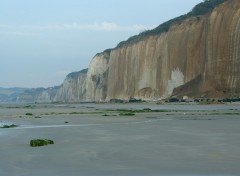 Wallpapers Nature La falaise de craie de Varengeville