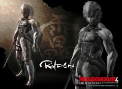 Wallpapers Video Games Raiden