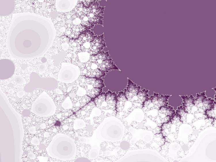 Fonds d'cran Art - Numrique Fractales, Kaledoscopes Virus_fractal