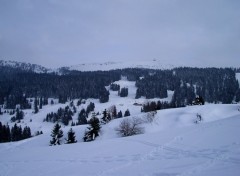 Fonds d'cran Nature le haut jura