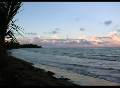 Fonds d'cran Nature Plage de Goyave