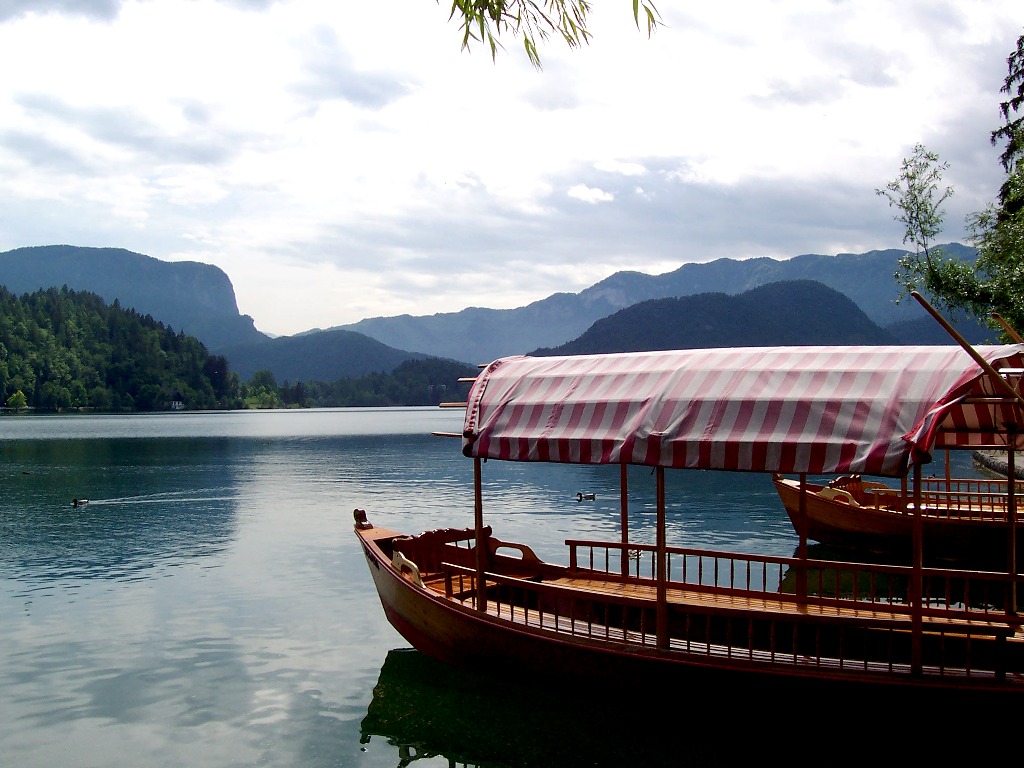 Fonds d'cran Voyages : Europe Slovnie Lac de Bled