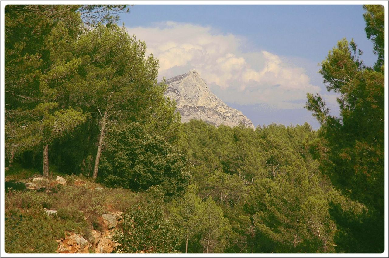 Wallpapers Trips : Europ France > Provence-Alpes-Cte d'Azur Sainte Victoire!! Aix en provence