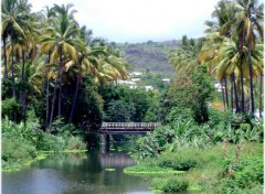 Fonds d'cran Voyages : Afrique DU COTE DE SAINT GILLES