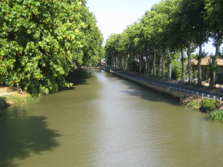 Fonds d'cran Nature Fleuves - Rivires - Torrents le canal du midi