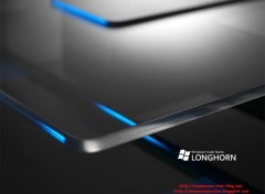 Fonds d'cran Informatique Longhorn