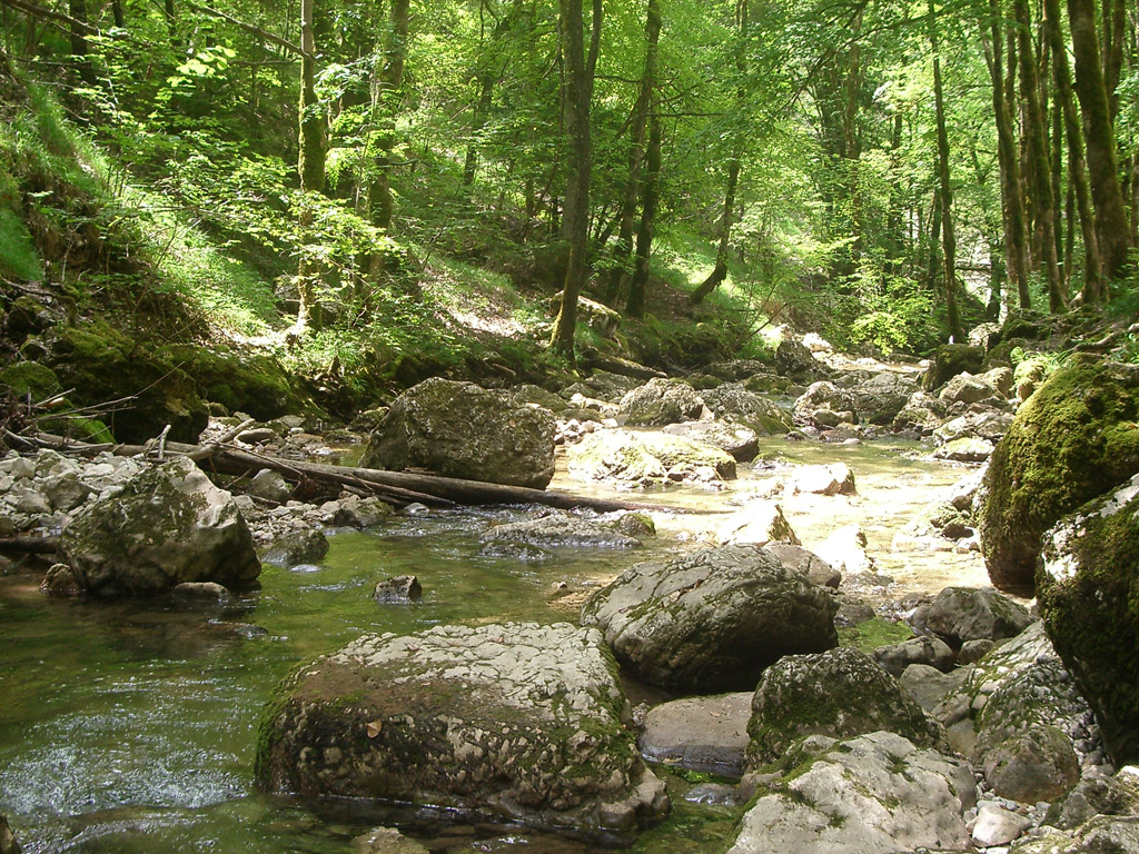 Fonds d'cran Nature Fleuves - Rivires - Torrents rivierre du herisson - jura