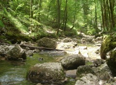 Fonds d'cran Nature rivierre du herisson - jura