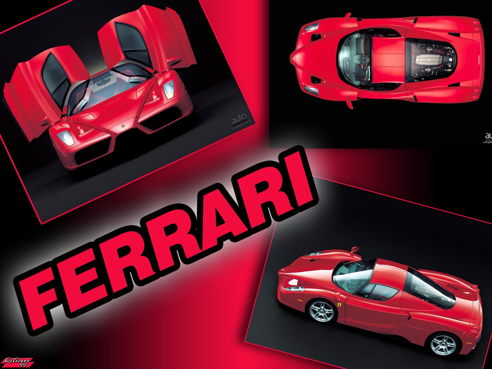 Wallpapers Cars Ferrari ferrari enzo