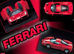 Fonds d'cran Voitures ferrari enzo