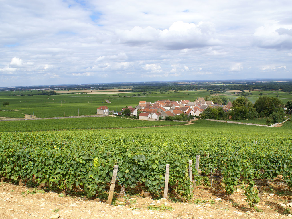 Fonds d'cran Nature Paysages morey st denis