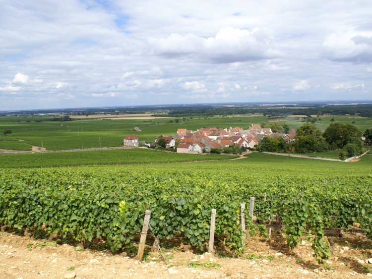 Fonds d'cran Nature Paysages morey st denis