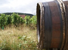 Fonds d'cran Nature vignes et tonneaux