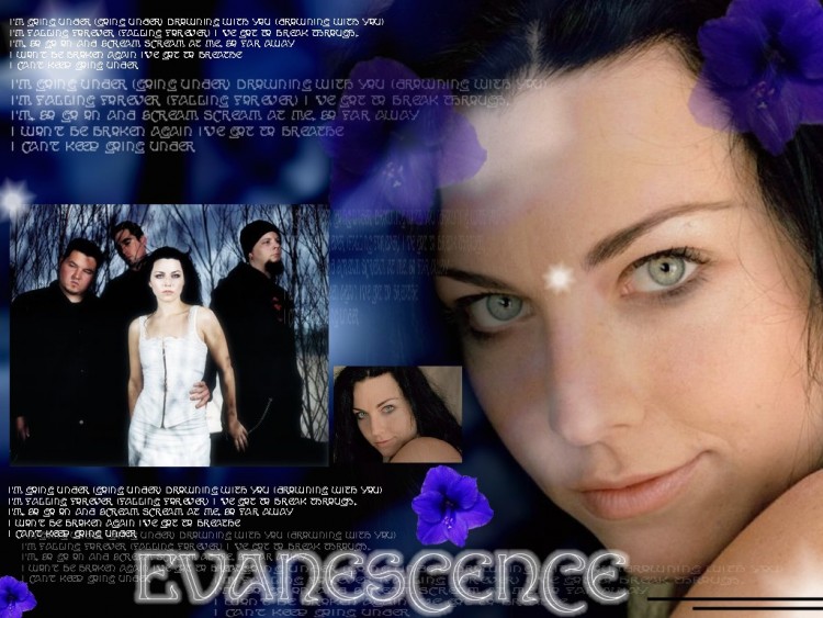 Fonds d'cran Musique Evanescence Wallpaper N146838