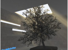 Fonds d'cran Art - Numrique Eco arbre