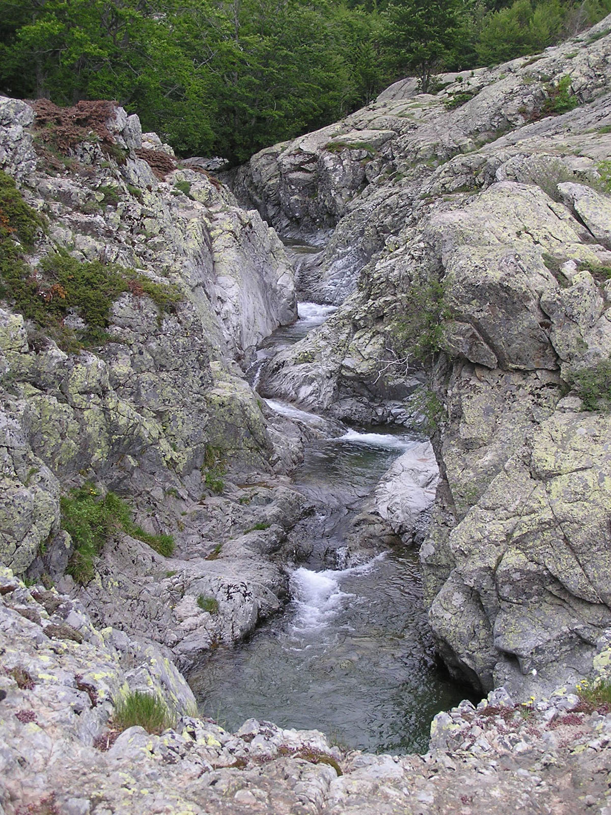 Fonds d'cran Nature Fleuves - Rivires - Torrents Corse - Rivire l'Agnone.