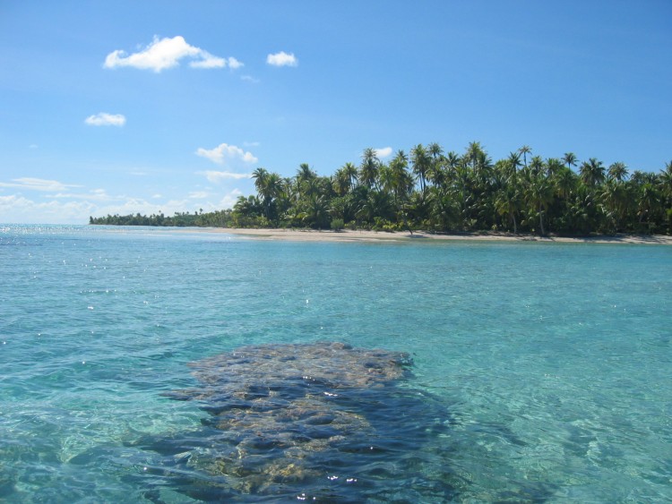 Fonds d'cran Nature Iles Paradisiaques corail lagon et cocotiers