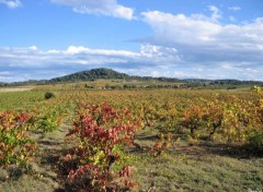 Fonds d'cran Voyages : Europe Vignoble en automne