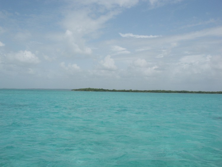 Fonds d'cran Voyages : Amrique du nord La Guadeloupe fond blanc