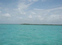 Fonds d'cran Voyages : Amrique du nord fond blanc