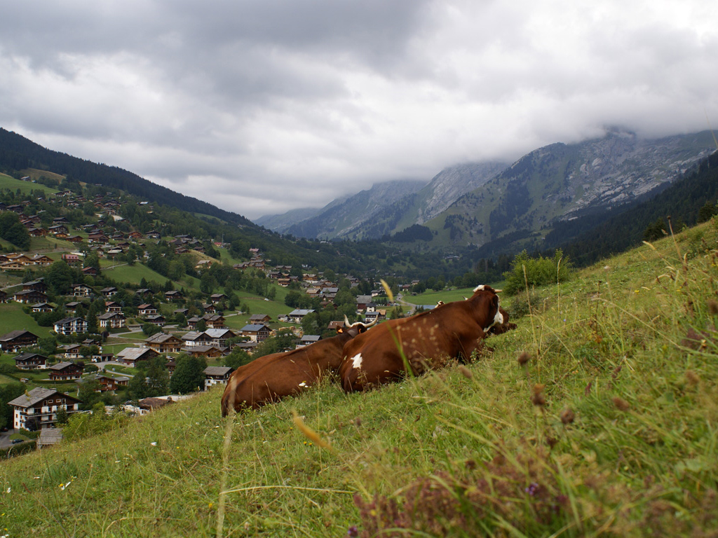 Fonds d'cran Nature Montagnes la valle des confins