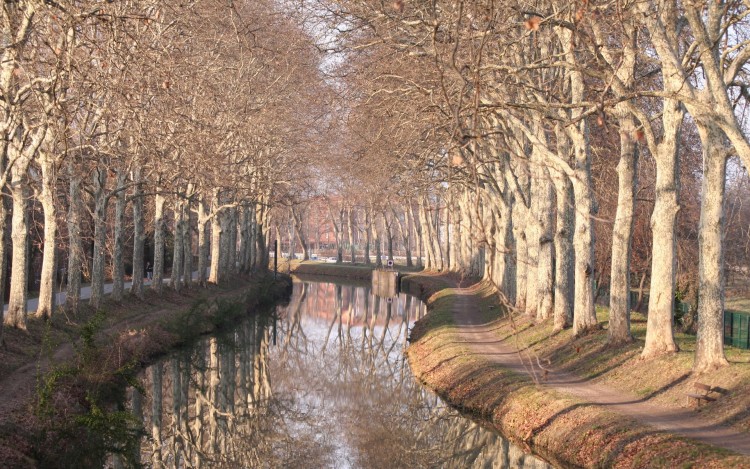 Fonds d'cran Voyages : Europe France > Midi-Pyrnes Toulouse - Le canal du midi