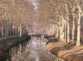 Wallpapers Trips : Europ Toulouse - Le canal du midi