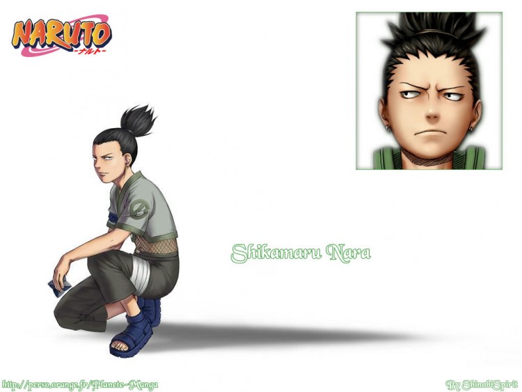 Fonds d'cran Manga Naruto Shikamaru