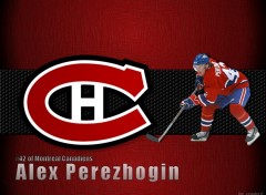 Wallpapers Sports - Leisures Alexander Perezhogin du Canadiens de Montral