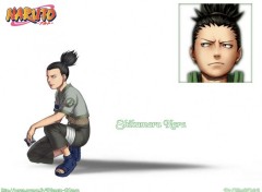 Fonds d'cran Manga Shikamaru