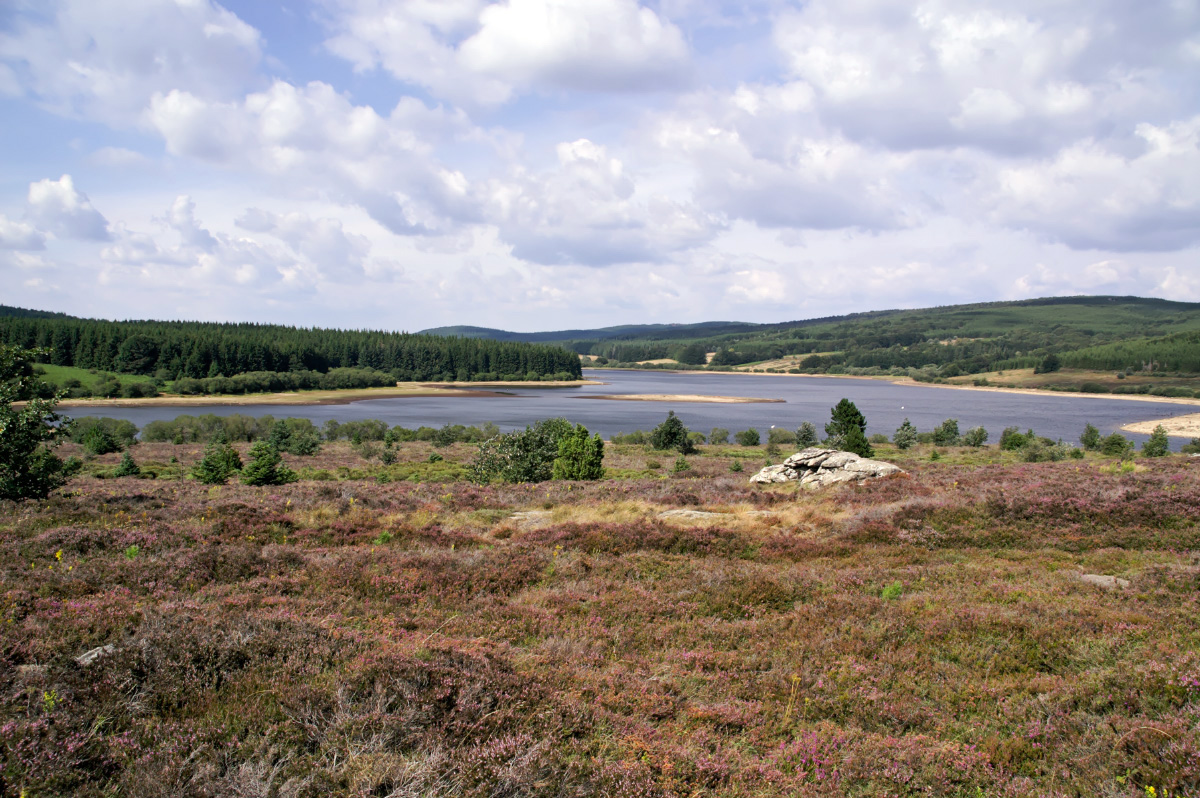 Fonds d'cran Nature Lacs - Etangs Languedoc/Roussillon