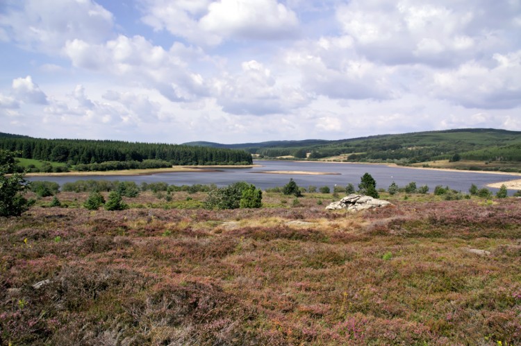 Fonds d'cran Nature Lacs - Etangs Languedoc/Roussillon