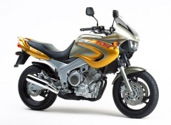 Fonds d'cran Motos tdm850