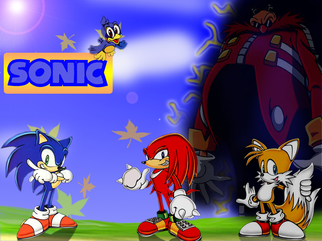 Fonds d'cran Jeux Vido Sonic The Hedgehog Sonic team