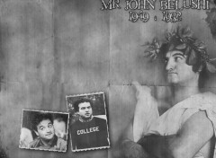 Fonds d'cran Clbrits Homme Mr John Belushi