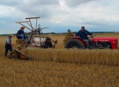 Fonds d'cran Hommes - Evnements Fauchage  l'ancienne