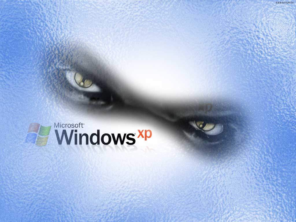 Wallpapers Computers Windows XP 