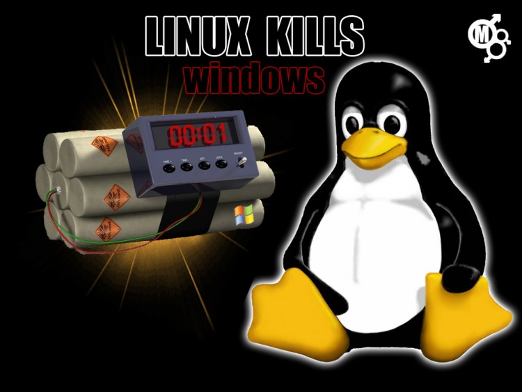 Fonds d'cran Informatique Linux Linux KILLS Windows..