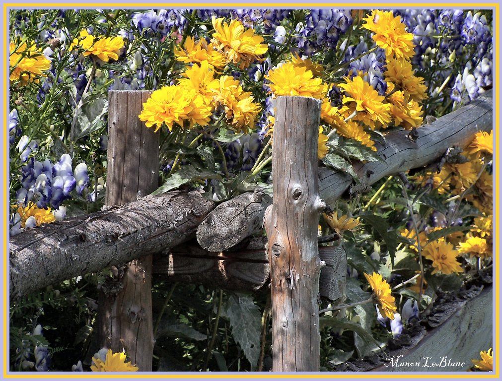 Wallpapers Nature Flowers clture remplie de fleurs