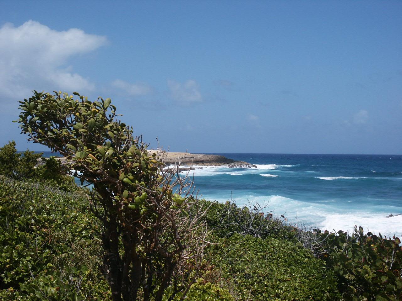 Fonds d'cran Nature Mers - Ocans - Plages Guadeloupe