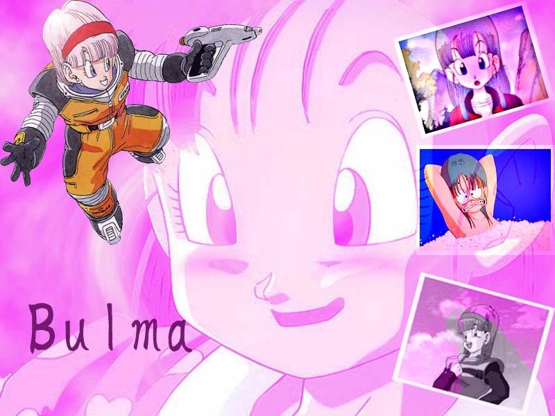 Fonds d'cran Manga Dragon Ball Z Wallpaper Bulma