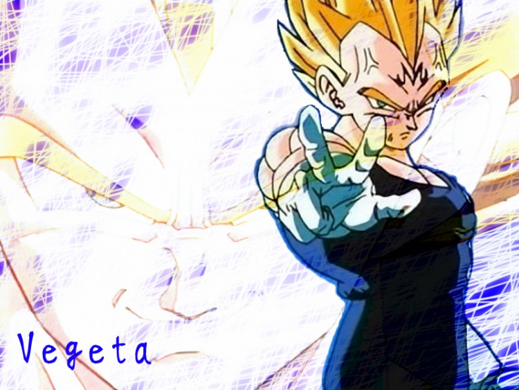 Fonds d'cran Manga Dragon Ball Z Wallpaper Vgta