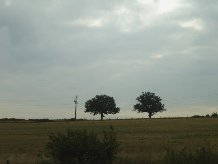 Fonds d'cran Nature Campagne Larzac