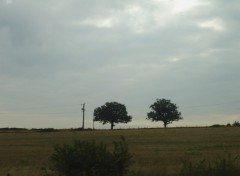 Fonds d'cran Nature Larzac