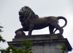 Wallpapers Constructions and architecture le lion de ...